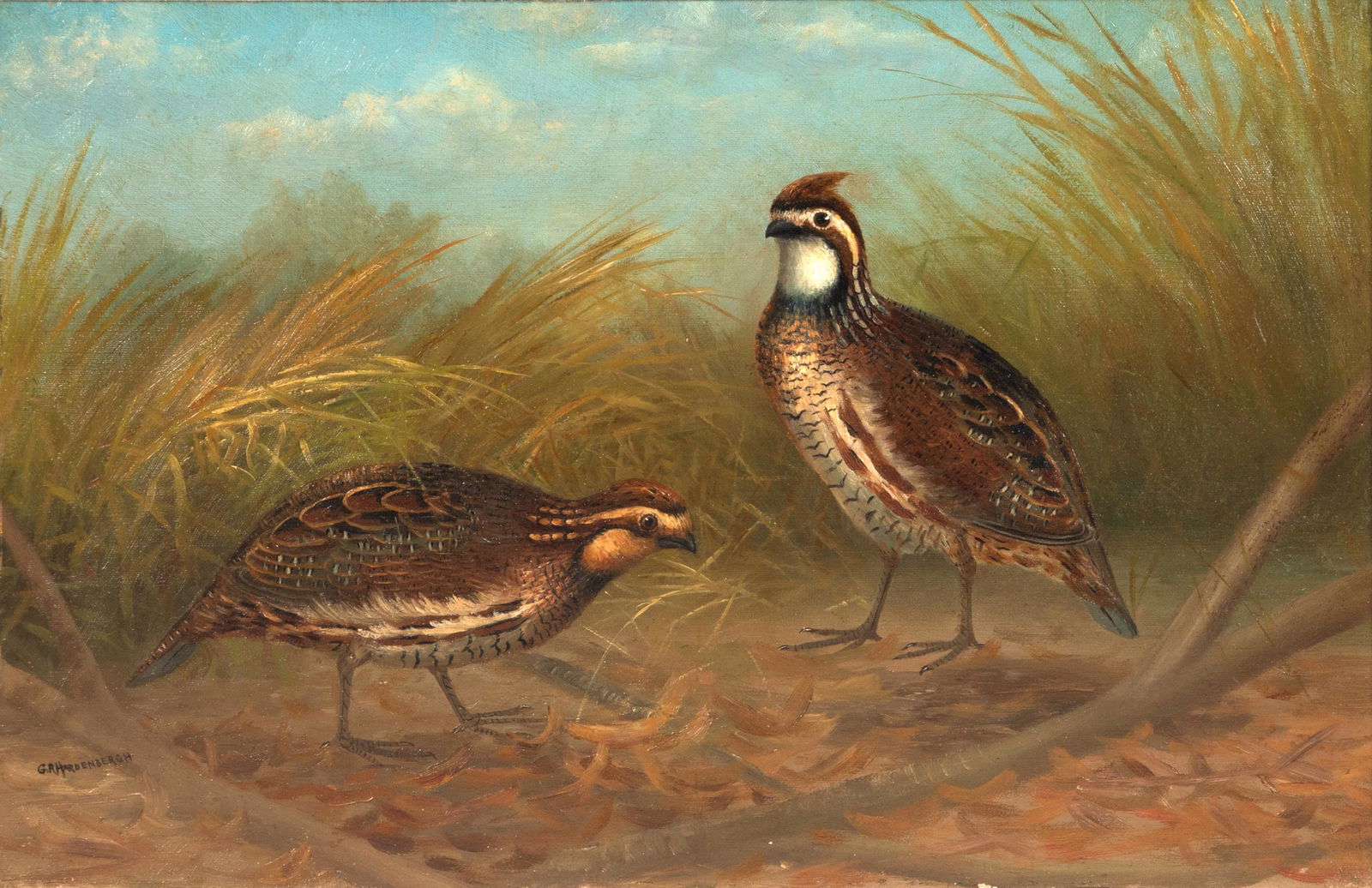 Gerard R. Hardenbergh (1855-1915), Quail (1 of 3)