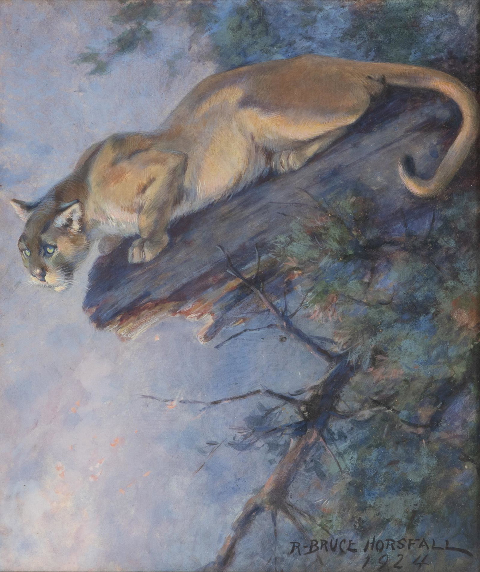 R. Bruce Horsfall (1869-1948), Wild Cat in Tree: R. Bruce Horsfall (1869-1948) Wild Cat in Tree, 1924 signed and dated "R. Bruce Horsfall 1924" lower right gouache, 11 1/2 by 9 3/4 in. Provenance: Eddie Woodin Collection