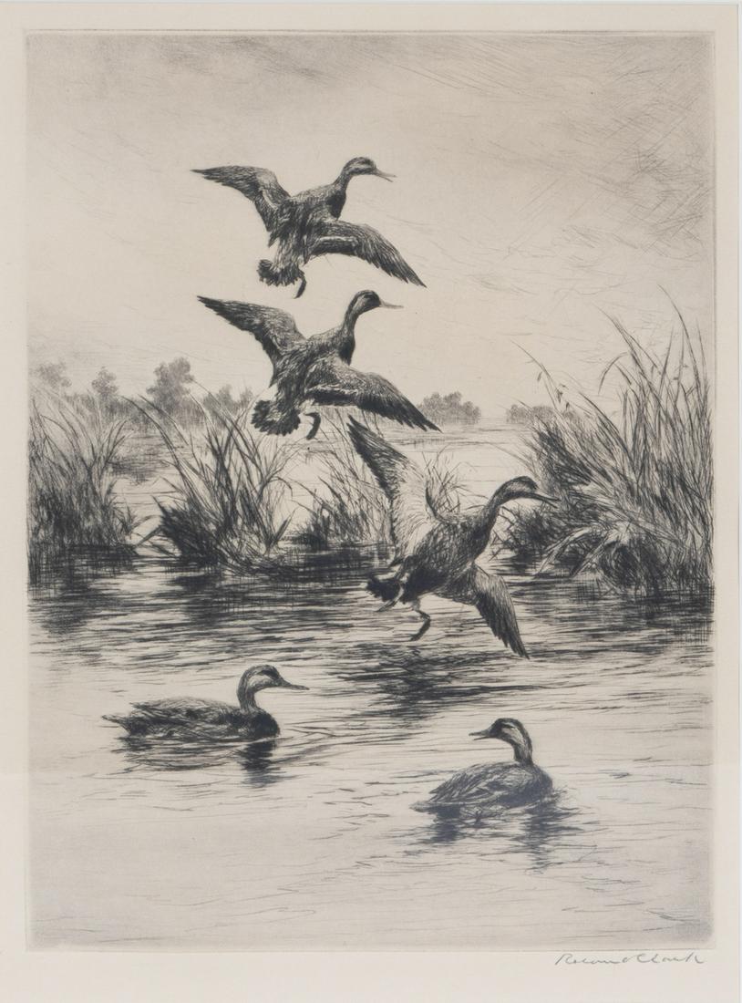 Roland H. Clark (1874-1957), Black Ducks [No.3] (1 of 3)