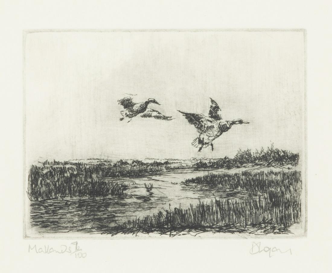 David Lazarus (b. 1952), Mallards (1 of 3)