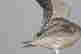 item-130642500=5