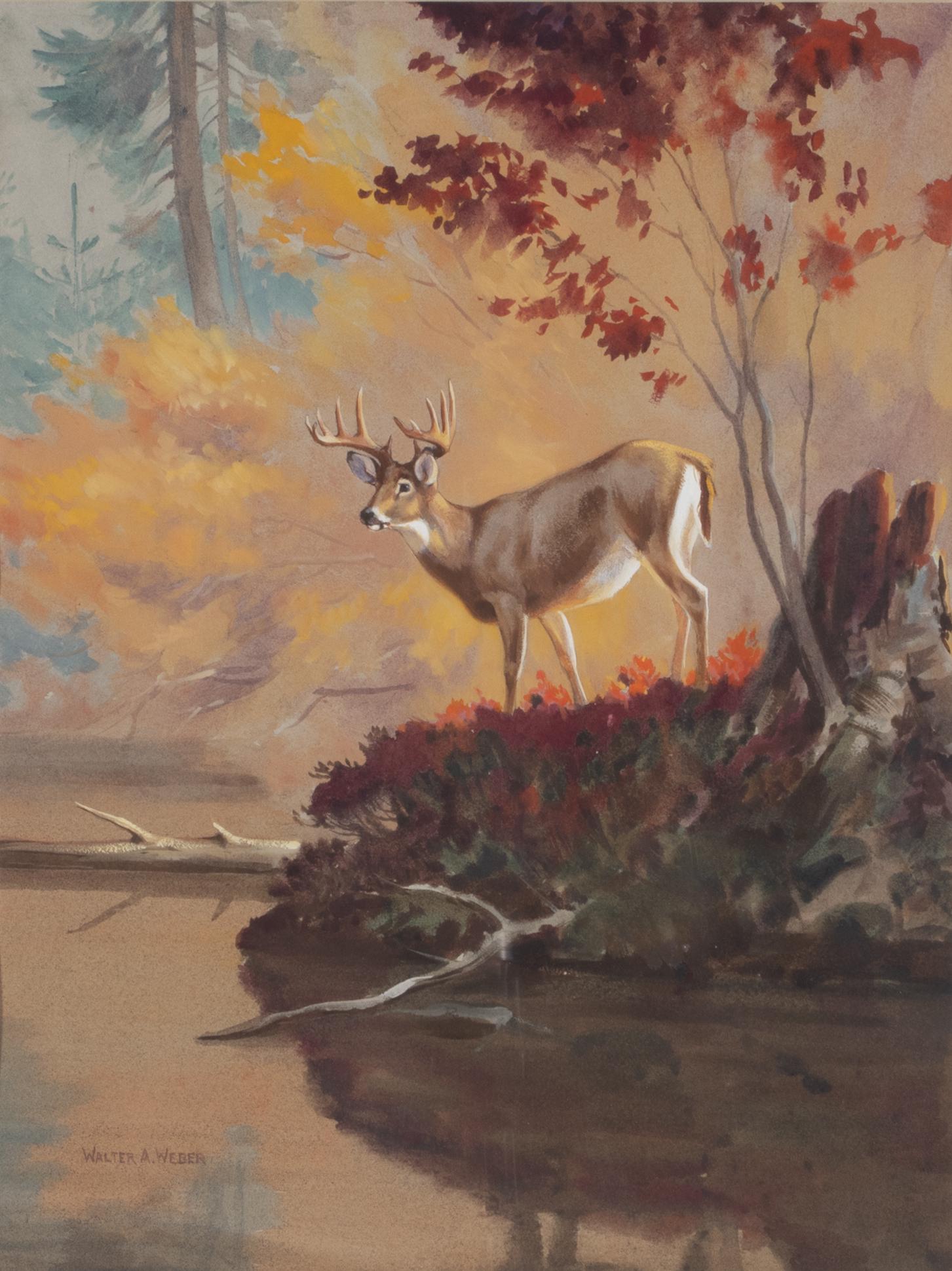 Walter A. Weber (1906-1979), Autumn Buck (1 of 3)