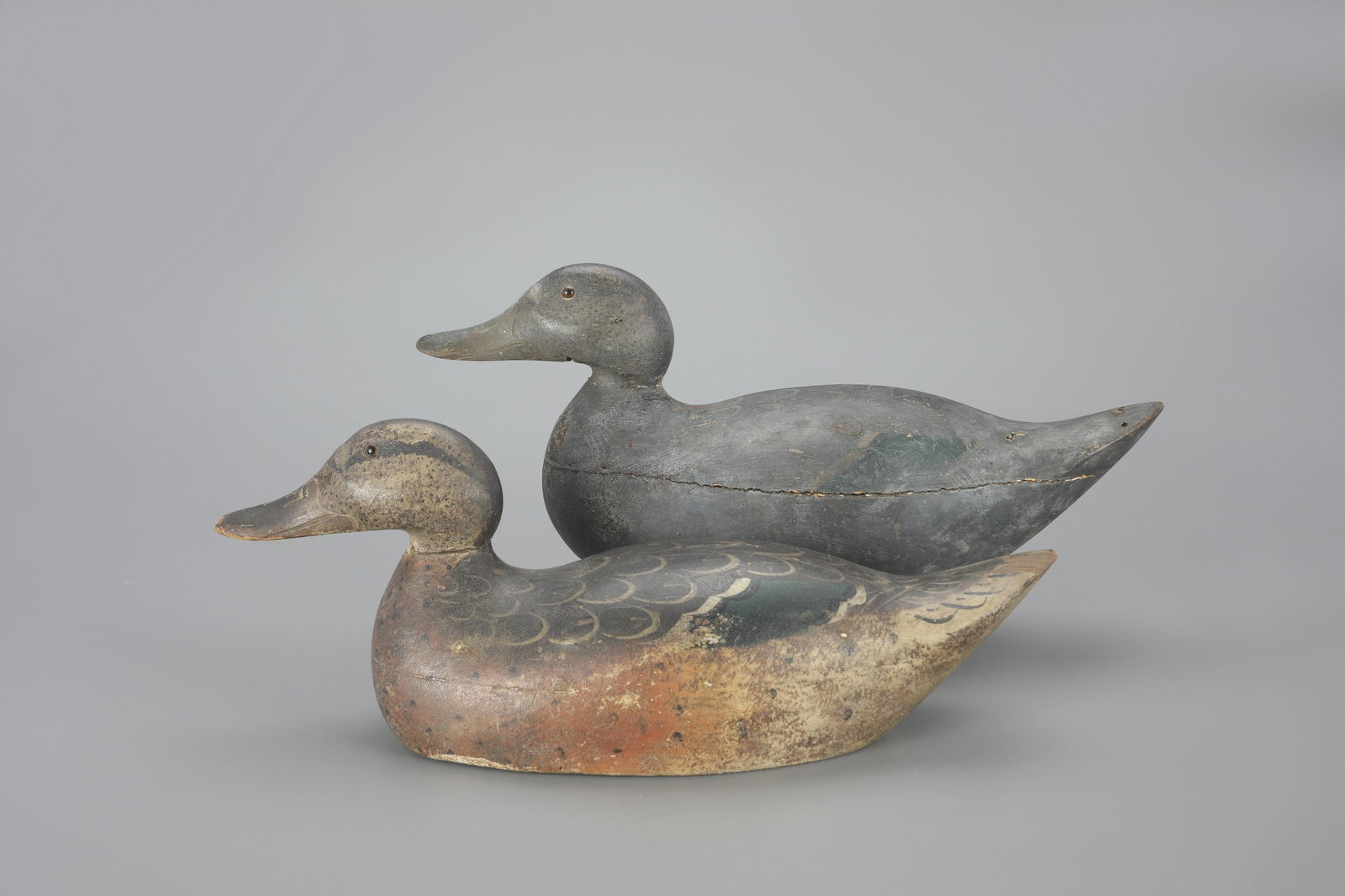 Premier-Grade Black Duck & Mallard Hen by Mason Decoy Factory (1896-1924) (1 of 4)