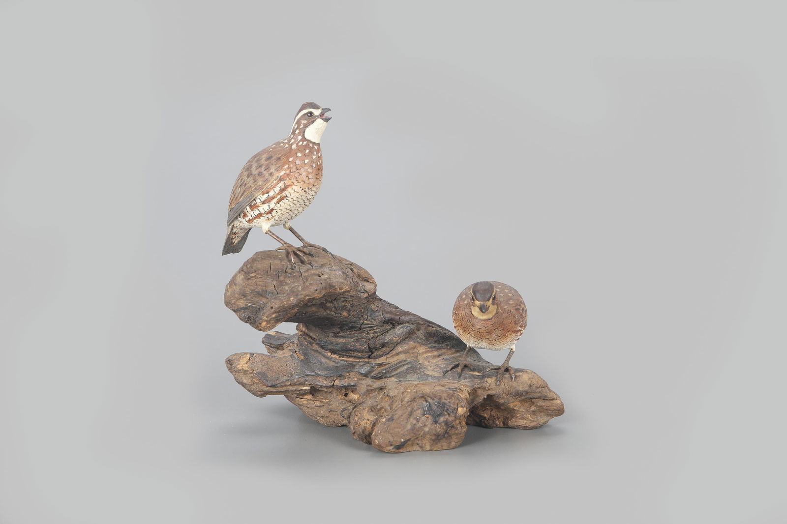 Miniature Quail Pair by Jack & Bette Holt (1 of 5)