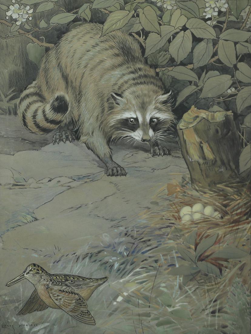 Louis Rhead (1857-1926) (1 of 3)