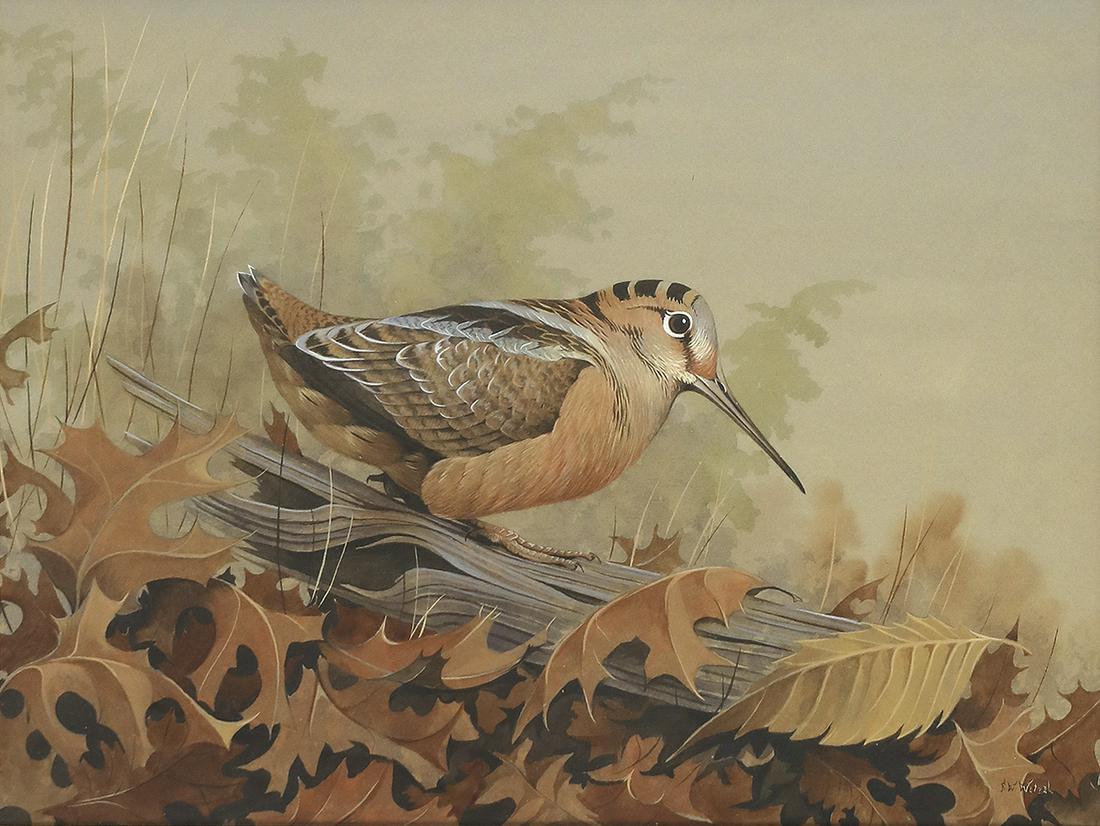 Frederick William Wetzel (20th-21st Centuries), Three Gamebird Watercolors (1 of 9)