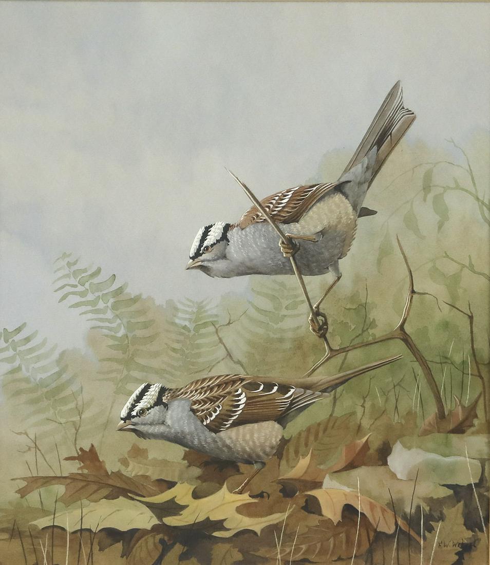 Frederick William Wetzel (20th-21st Centuries), Two Songbird Watercolors (1 of 6)