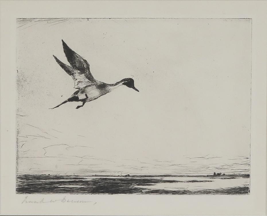 Frank W. Benson (1862-1951), Lone Pintail: Frank W. Benson (1862-1951) Lone Pintail, 1930 signed "Frank W Benson" lower left drypoint, 4 1/2 by 6 in. Paff #303, edition of 150 Provenance: Private Collection, Middleburg, Virginia
