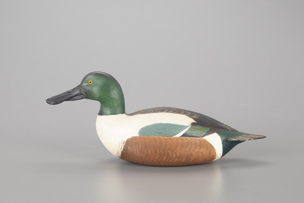 Shoveler Decoy by James "Corb" Reed (1897-1987) (1 of 4)