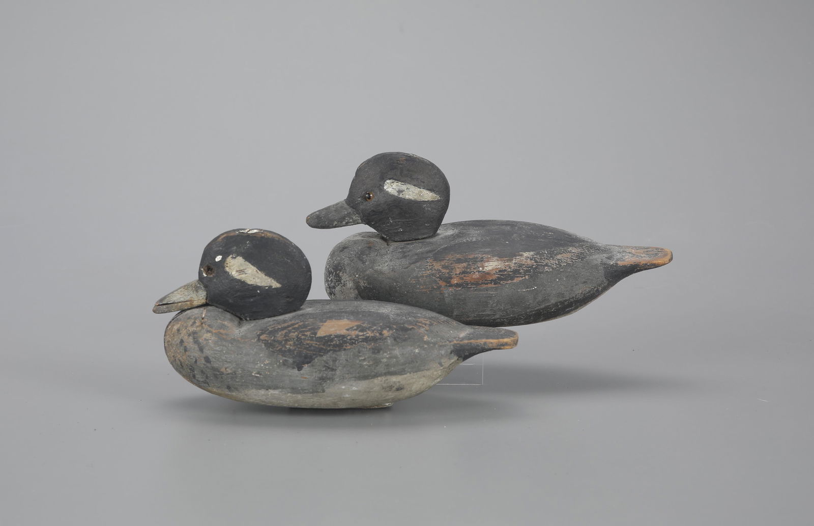 Bufflehead Pair (1 of 4)