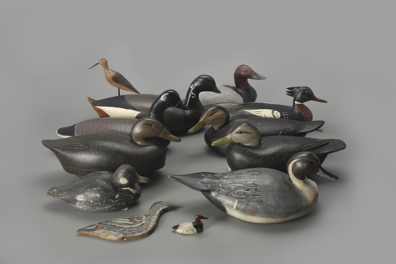 One Dozen Decoys (1 of 2)