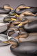 10: Twelve Puddle Ducks