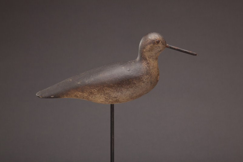 Dowitcher