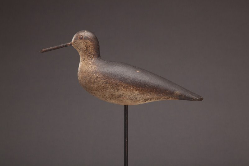 Dowitcher - 2