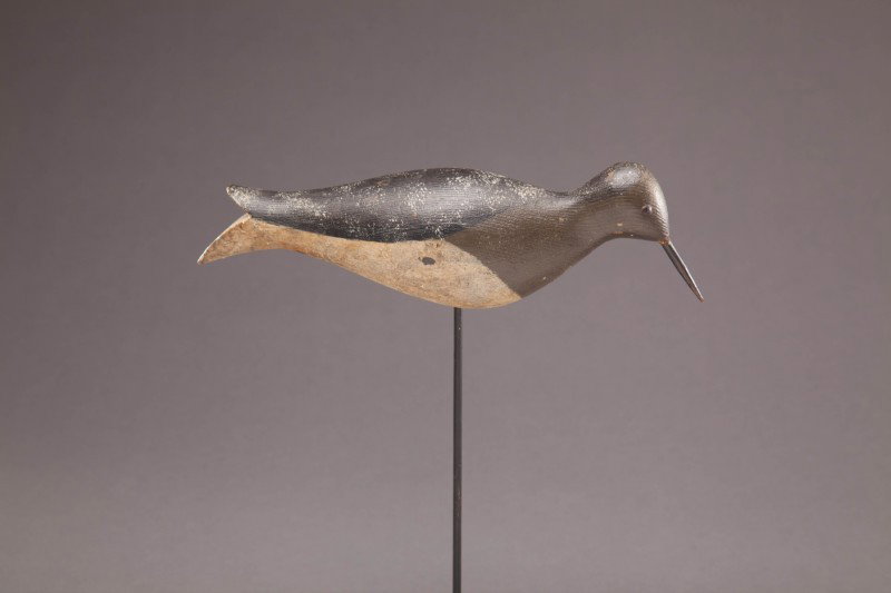 Split-Tail Dowitcher