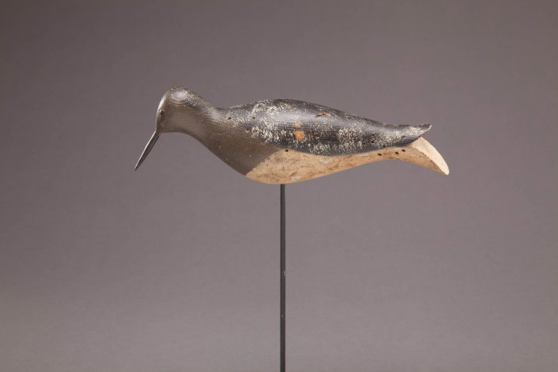 Split-Tail Dowitcher - 2