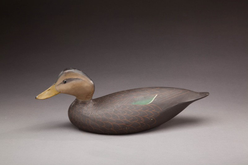 Black Duck: Black Duck The Ward Brothers, Lemuel T. (1896-1983) and Stephen (1895-1976) Crisfield, MD, c. 1936 A solid cedar decoy with a "P" and a "WHP JR" brand for the William Purnell collection. Retains a sec