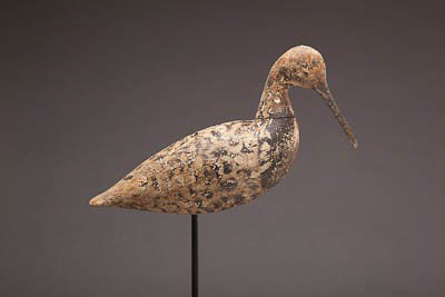 Dowitcher