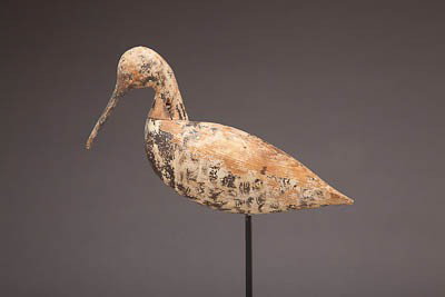 Dowitcher - 2