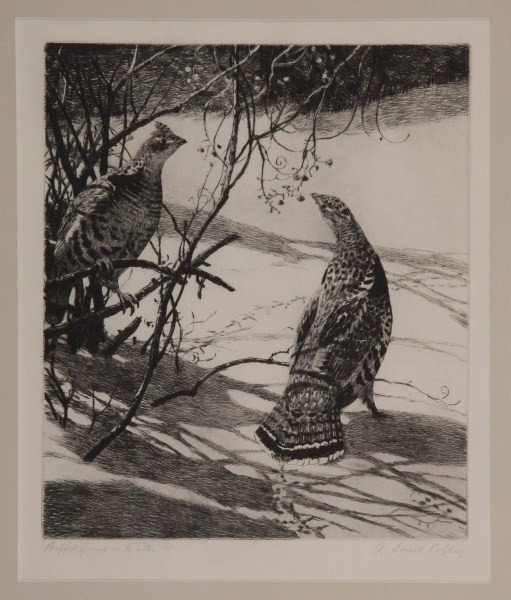 Aiden Lassell Ripley (1896-1969): Aiden Lassell Ripley (1896-1969) Two Drypoints "Ruffed Grouse in Snow" Signed "A. Lassell Ripley" lower right Drypoint, 10 by 12 inches Inscribed "Ruffed Grouse in Winter ©" lower left Literature: A.