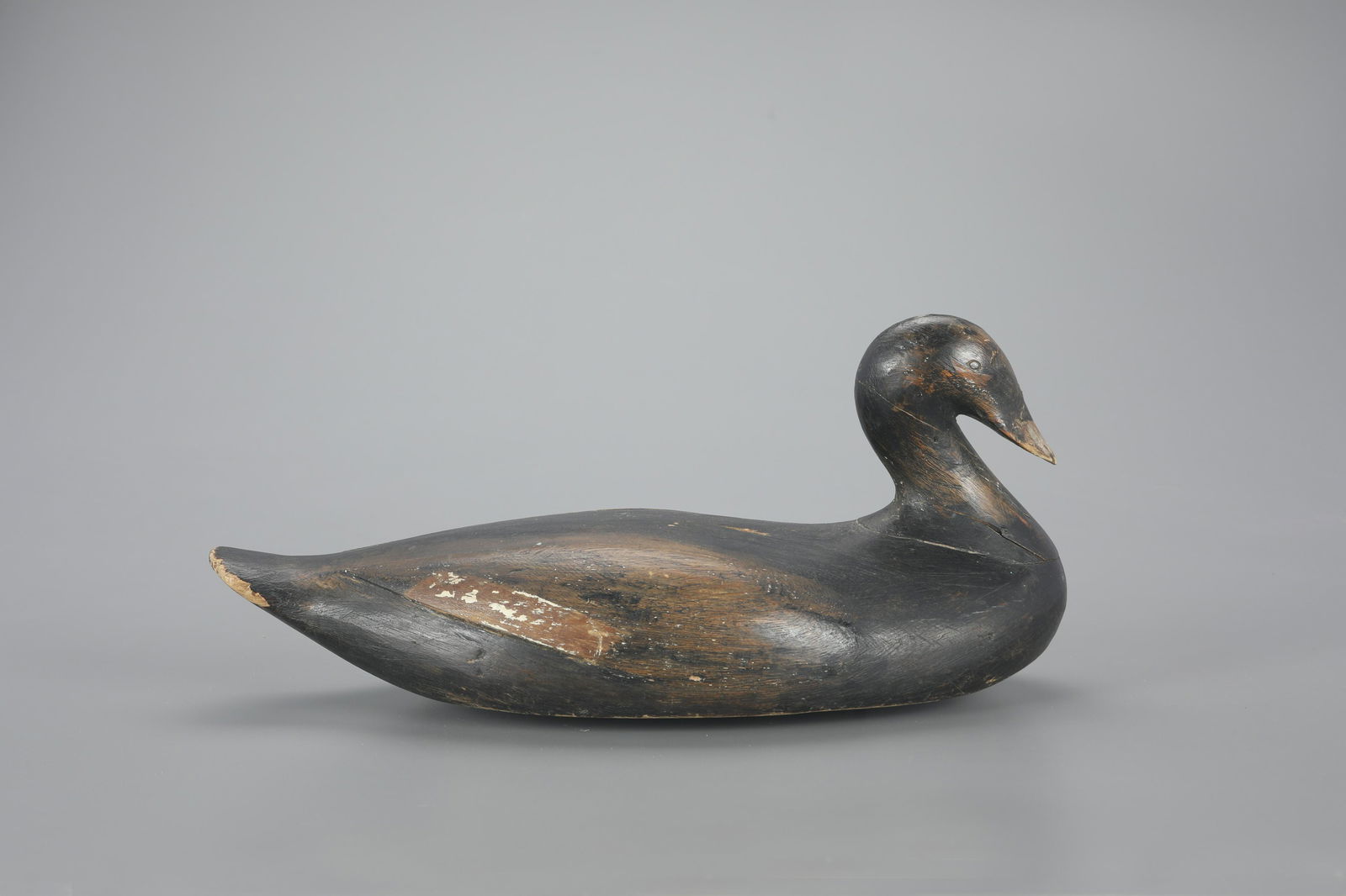 "Viking Rig" Scoter Decoy by Augustus Aaron "Gus" Wilson (1864-1950) (1 of 4)