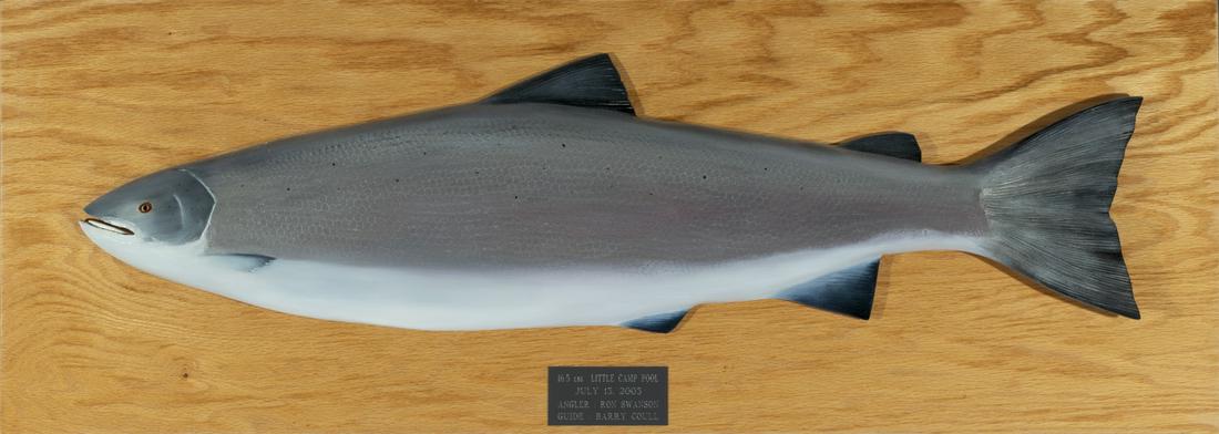 Atlantic Salmon Model by Barry Coull (1 of 3)