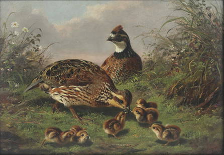 Arthur Fitzwilliam Tait (1819-1905), Quail and Chicks: Arthur Fitzwilliam Tait (1819-1905) Quail and Chicks, 1867 signed and dated "AF Tait N A 1867" lower right oil on board, 10 by 14 in. signed and dated on backKennedy & Co., New York and Winsor &