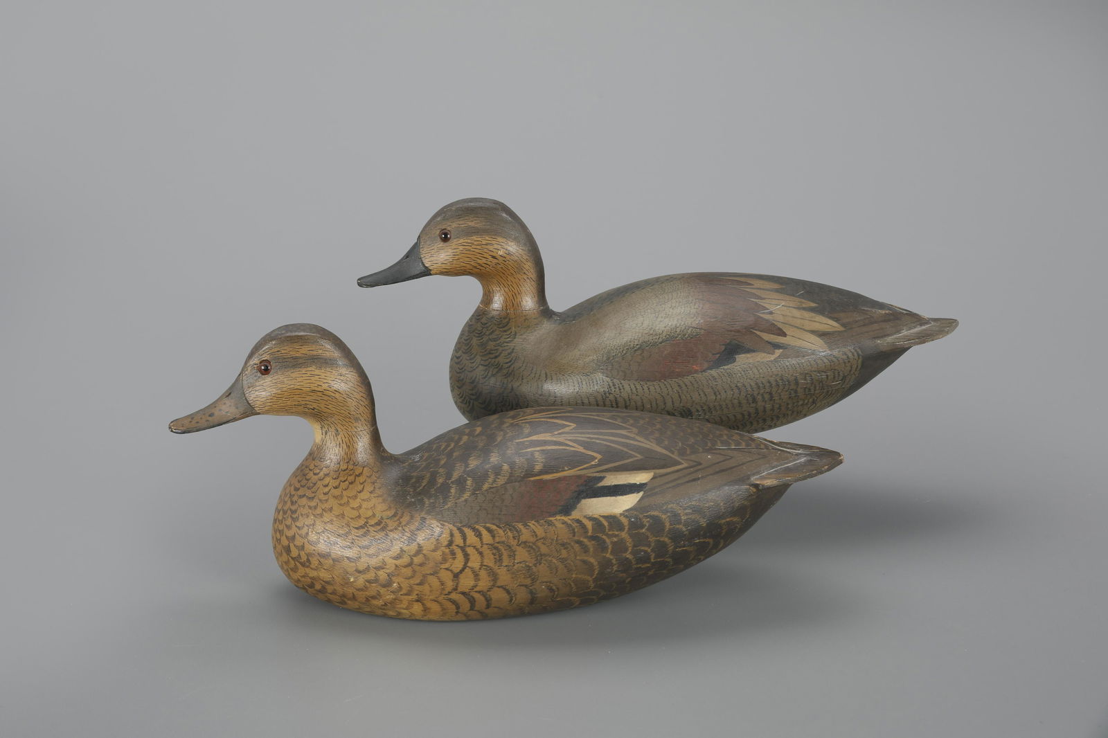Gadwall Pair by D. J. Sullivan (1 of 4)