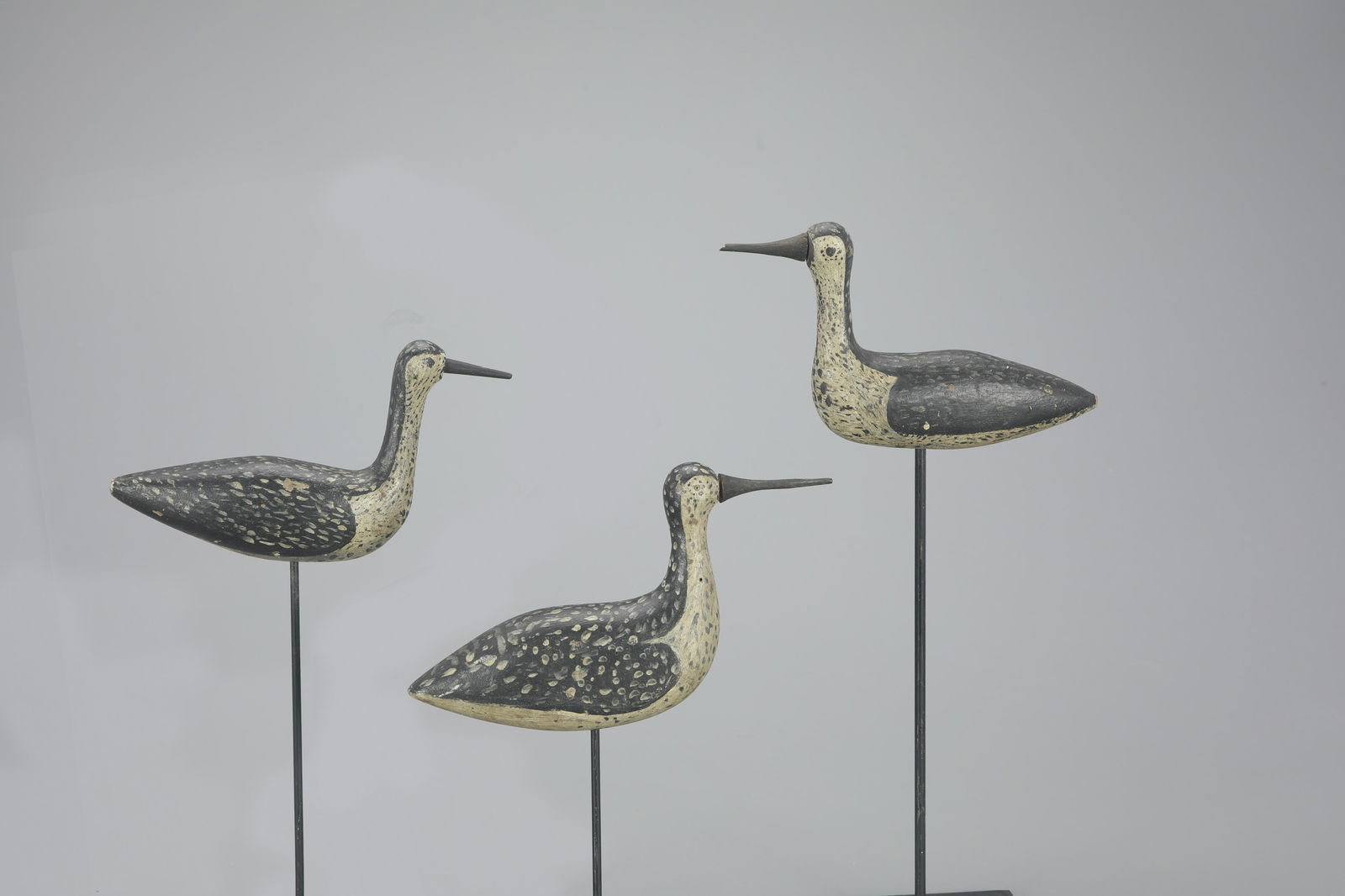 Trio of High-Head Yellowlegs (1 of 4)