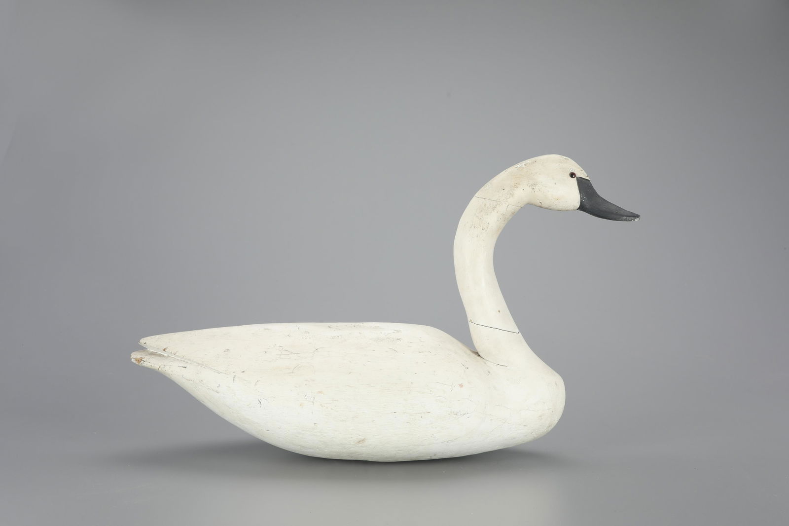Swan with Doughty Goose Body by the Doughty Family (1 of 4)