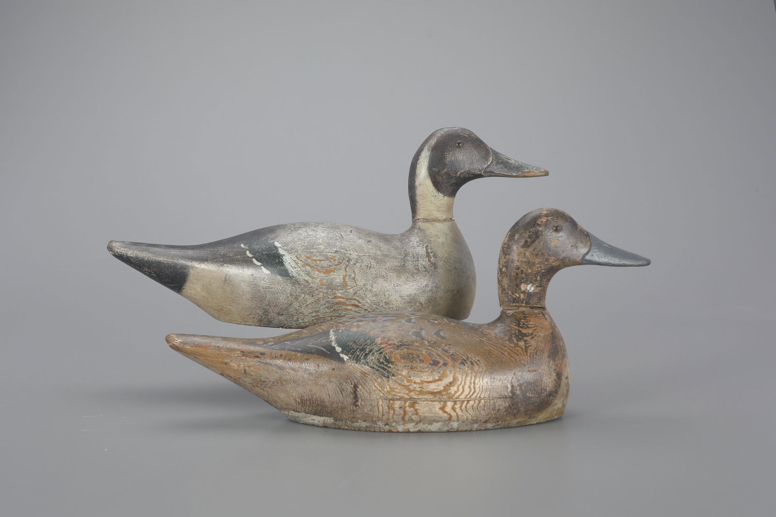 Mammoth-Grade Pintail Pair by Evans Duck Decoy Co. (1921-1932) (1 of 4)
