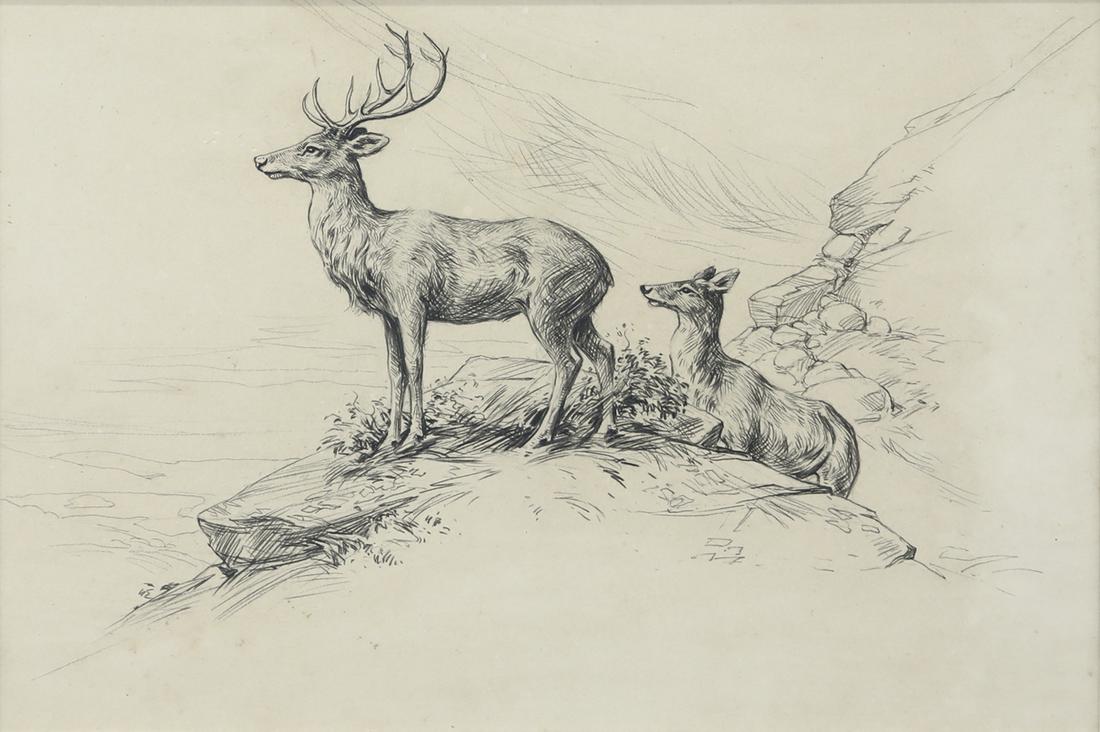 Aiden Lassell Ripley (1896-1969), Stag and Doe: Aiden Lassell Ripley (1896-1969) Stag and Doe drawing, 7 3/4 by 11 in. This is an original drawing for an article a magazine called "The Sportsman."