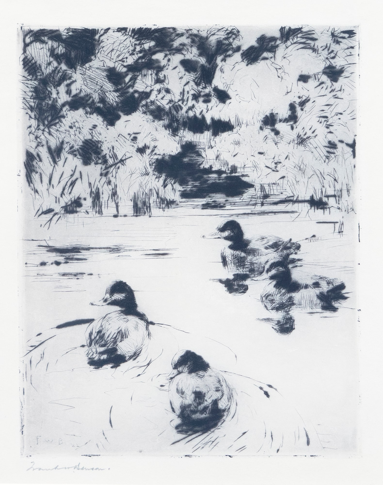 Frank W. Benson (1862-1951), Little Bluebills (1 of 3)