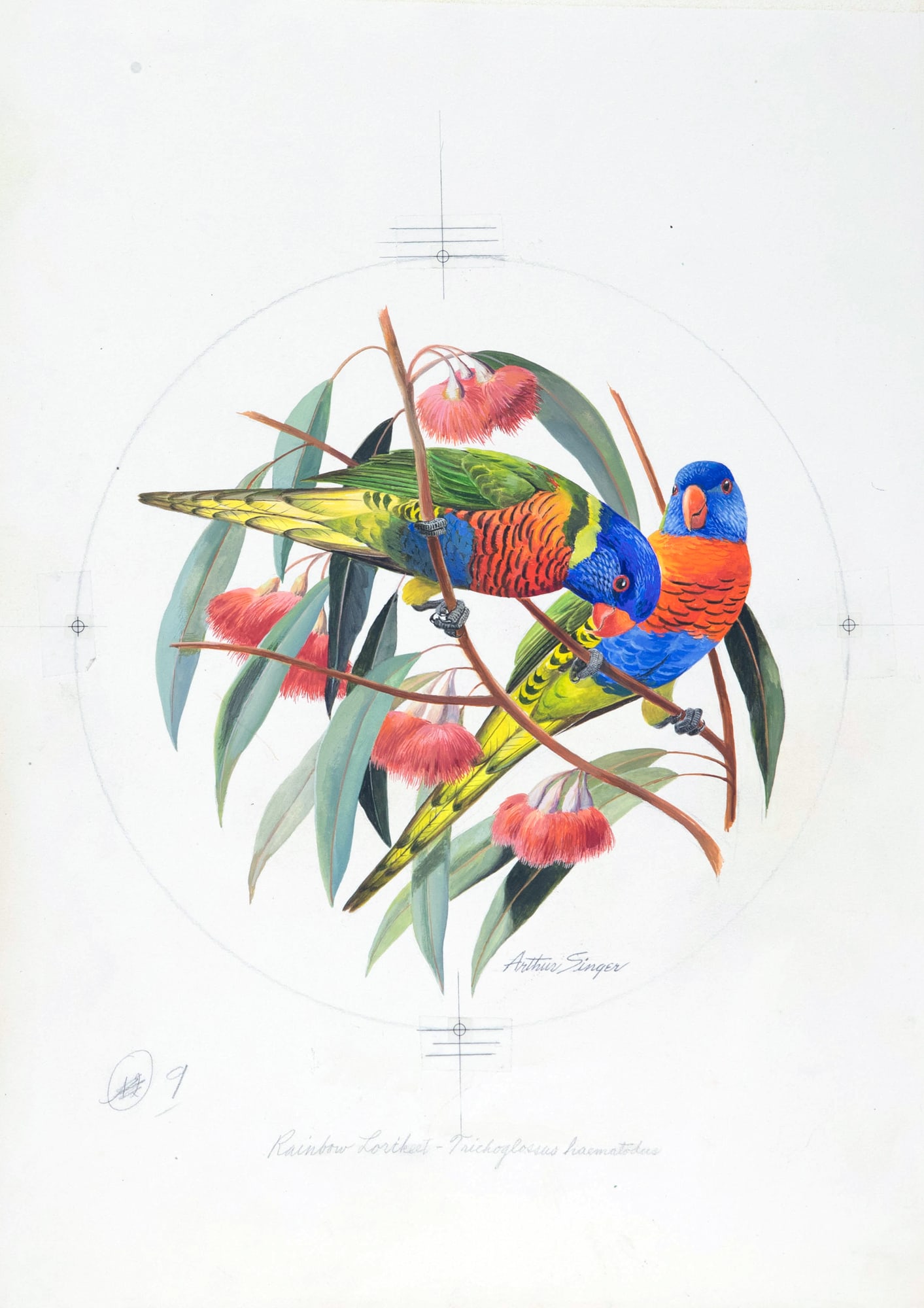 Arthur B. Singer (1917-1990), Rainbow Lorikeet (1 of 2)