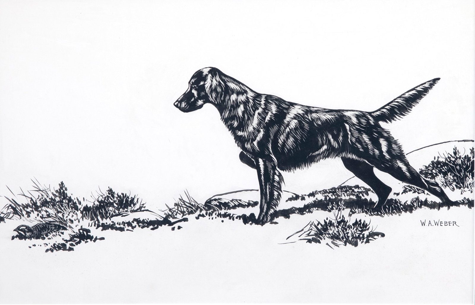 Walter A. Weber (1906-1979), Setter on Point (1 of 3)