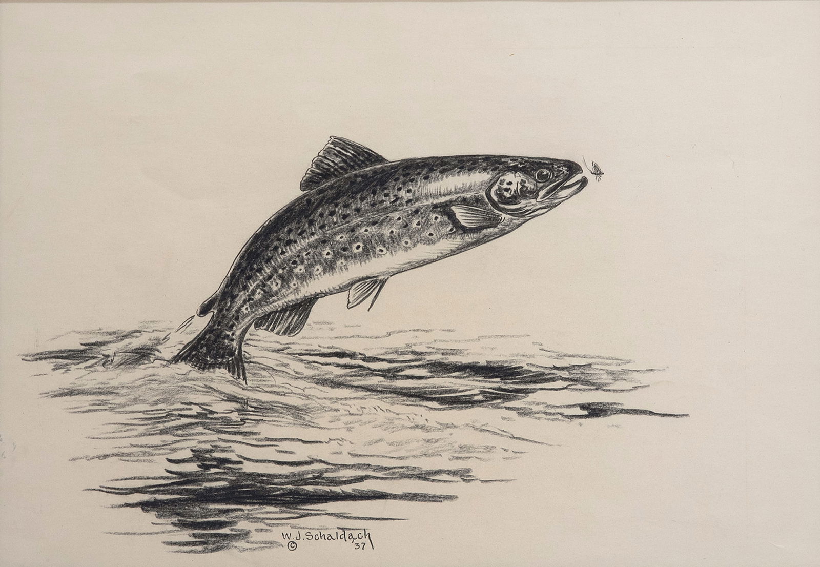 William J. Schaldach (1896-1982), Leaping Brook Trout (1 of 3)