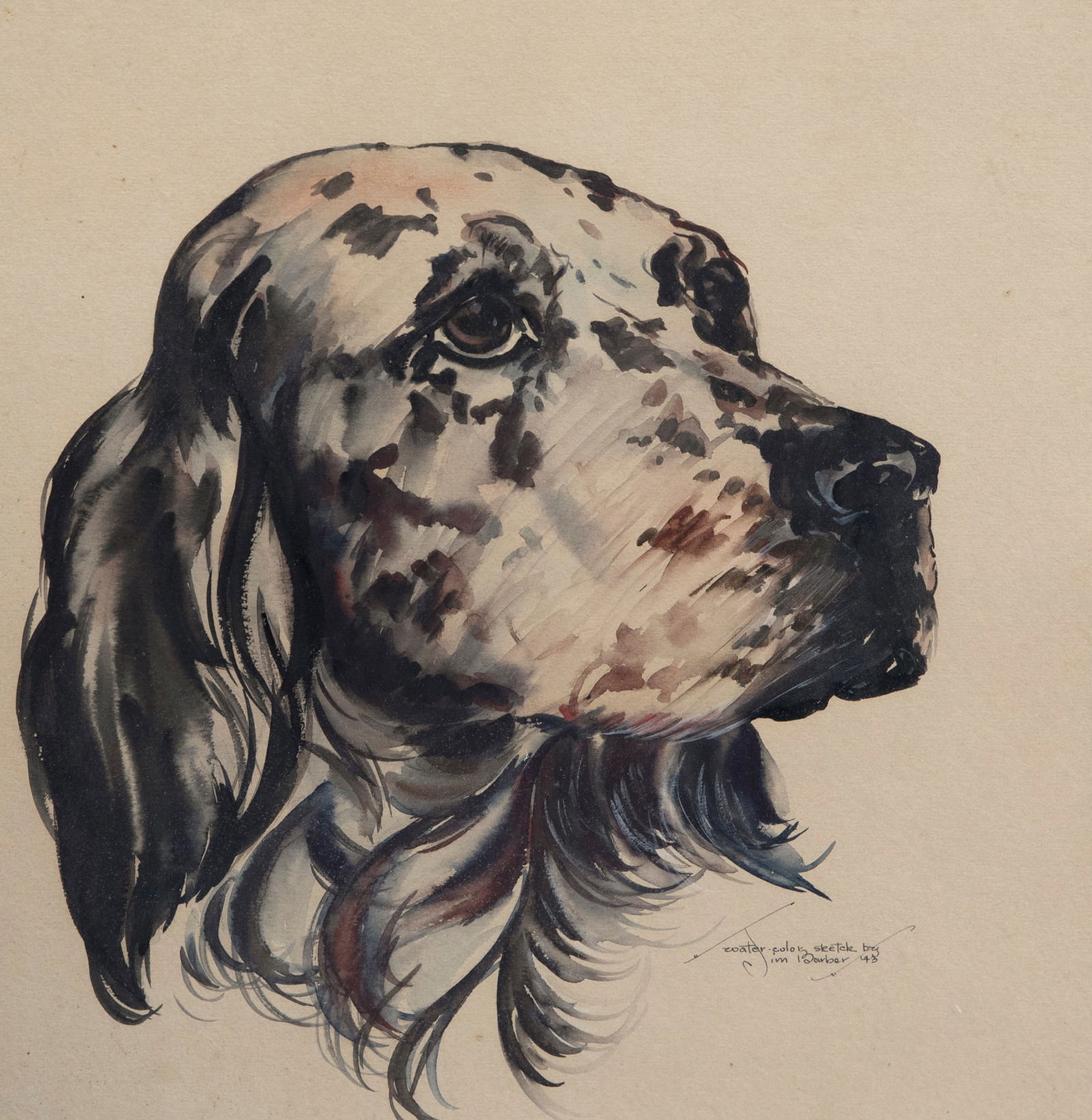 Jim Barber (20th Century), Setter (1 of 3)