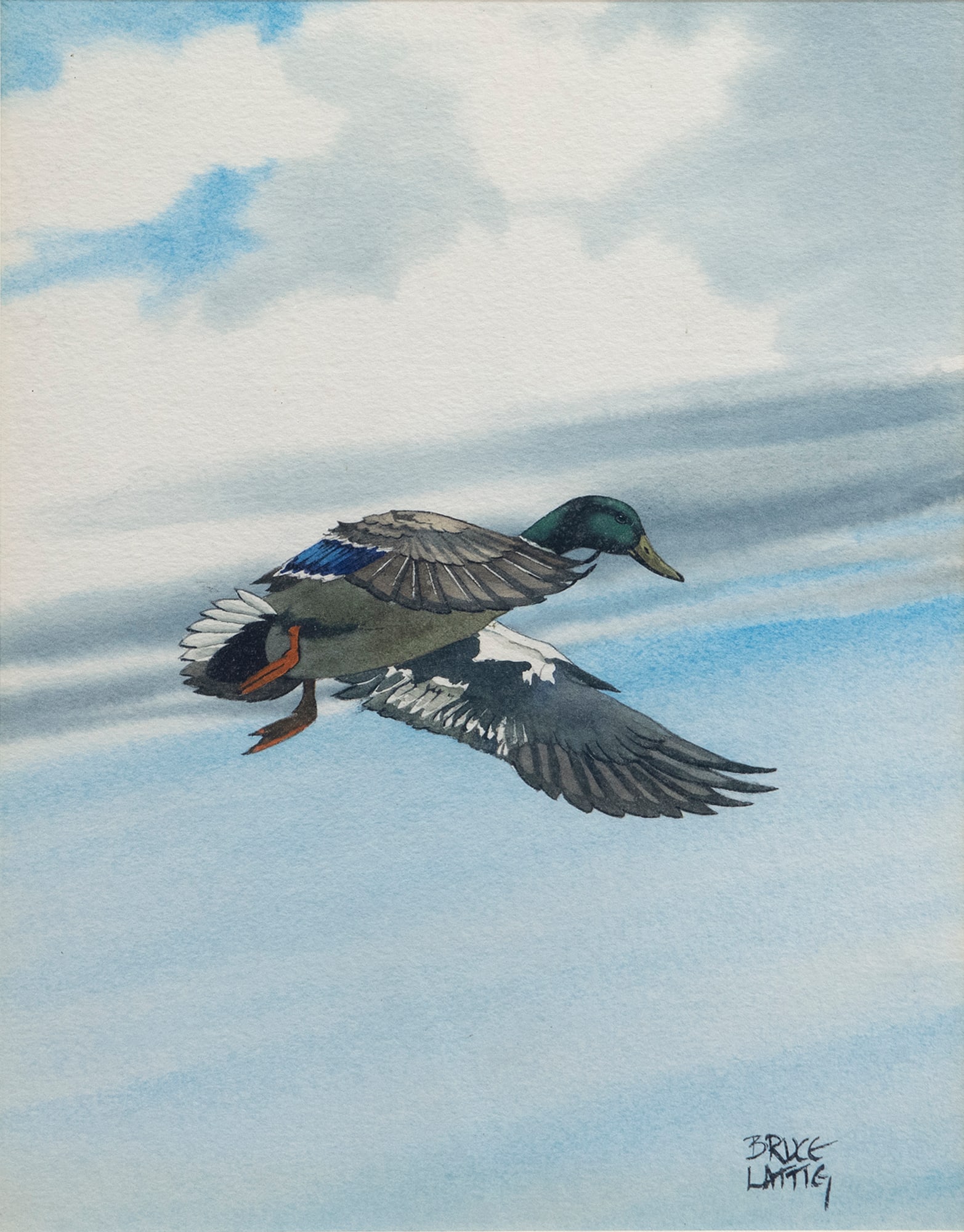 Bruce Lattig (b. 1933), Flying Mallard (1 of 3)