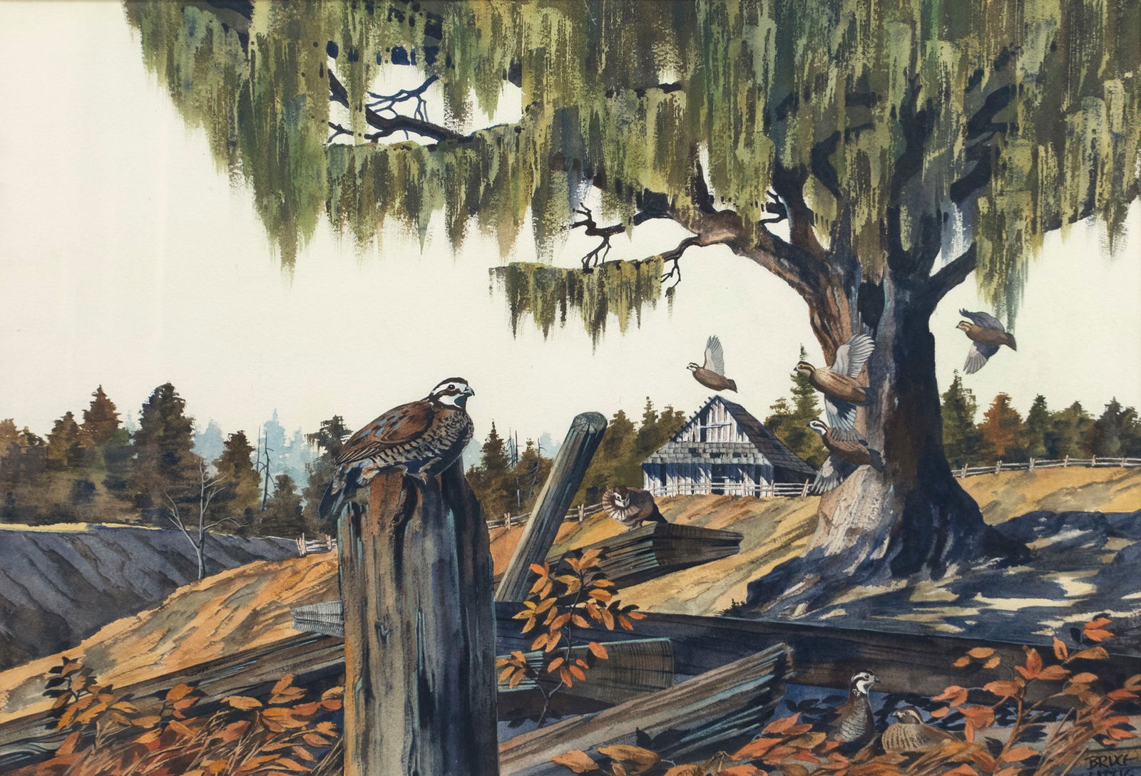 Bruce Lattig (b. 1933), Quail on a Fencepost (1 of 3)