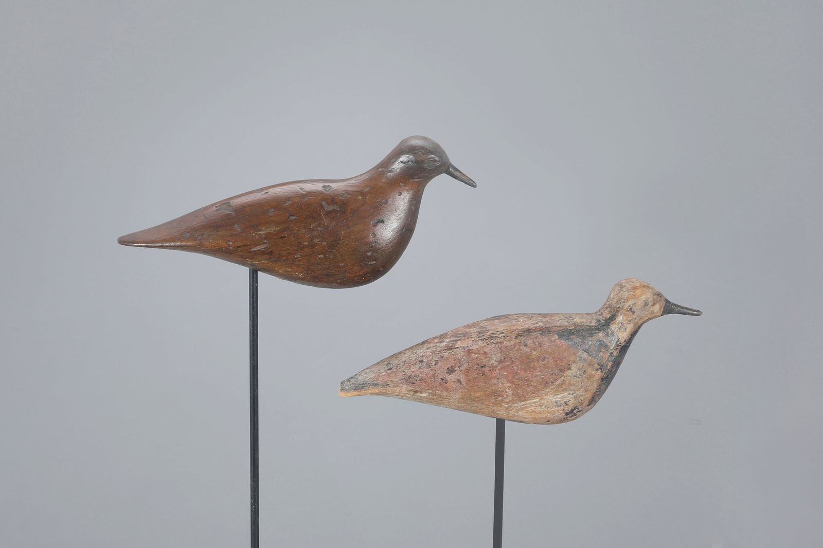 Ruddy Turnstone and Black-Bellied Plover by Capt. Jonas Sprague (1 of 4)