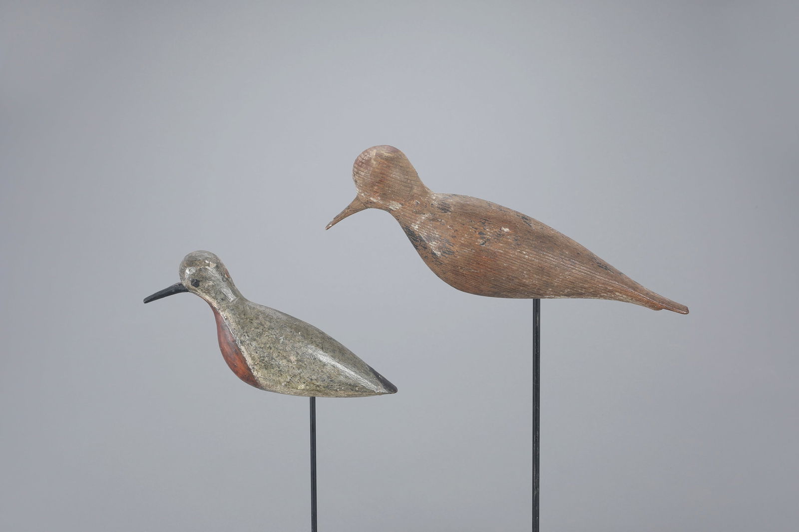 Black-Bellied Plover and Red Knot by Bill Harris (1862-1912) (1 of 4)
