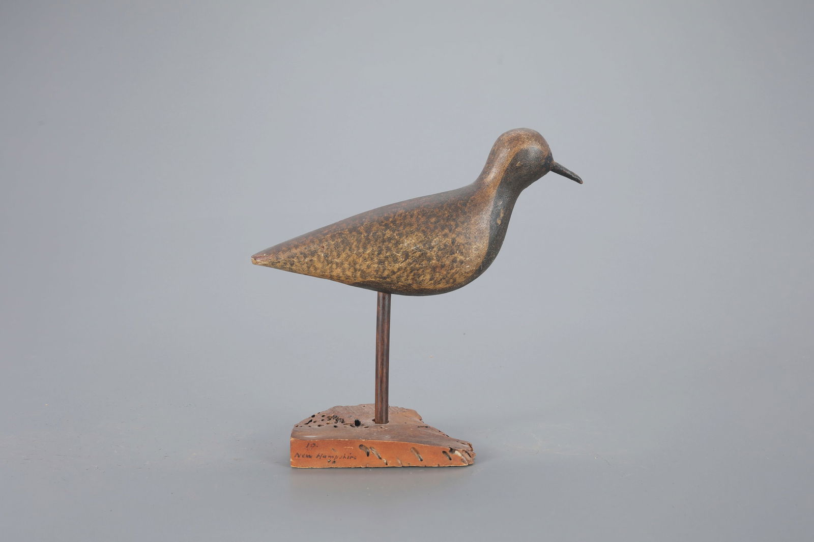 Black-Bellied Plover Decoy (1 of 4)