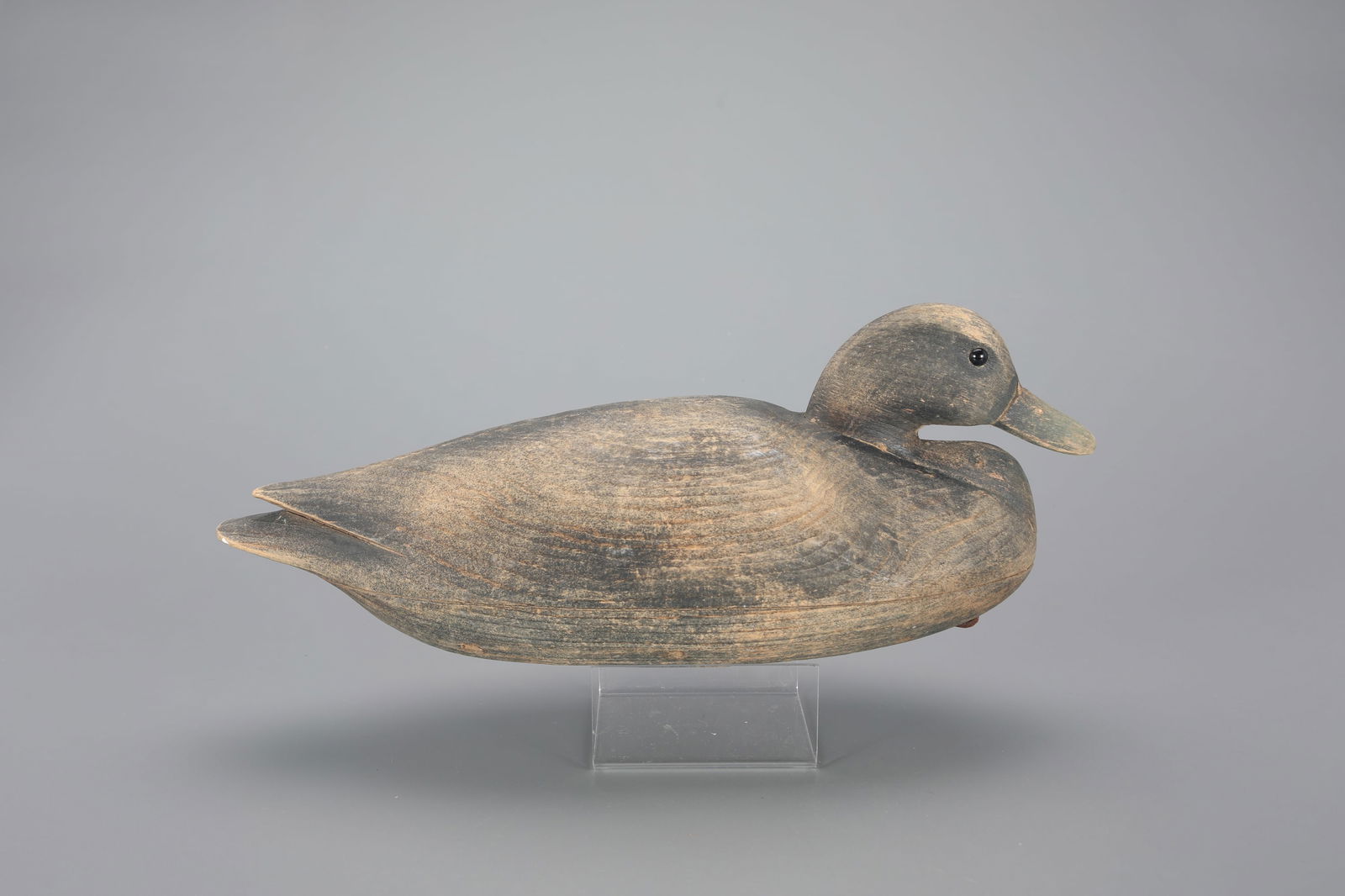 Cobb-Style Black Duck Decoy by Frank S. Finney (b. 1947) (1 of 4)