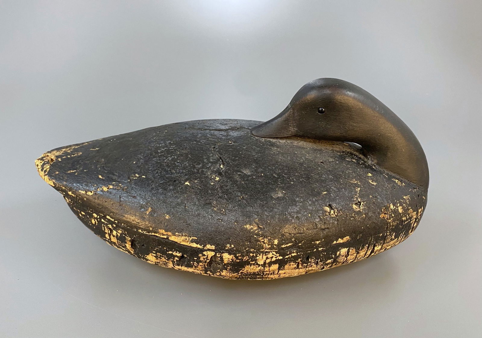 Rare Preening Brant Decoy by Thomas H. Gelston (1851-1924) (1 of 6)