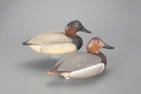 Canvasback Hen and Drake Decoys by The Ward Brothers