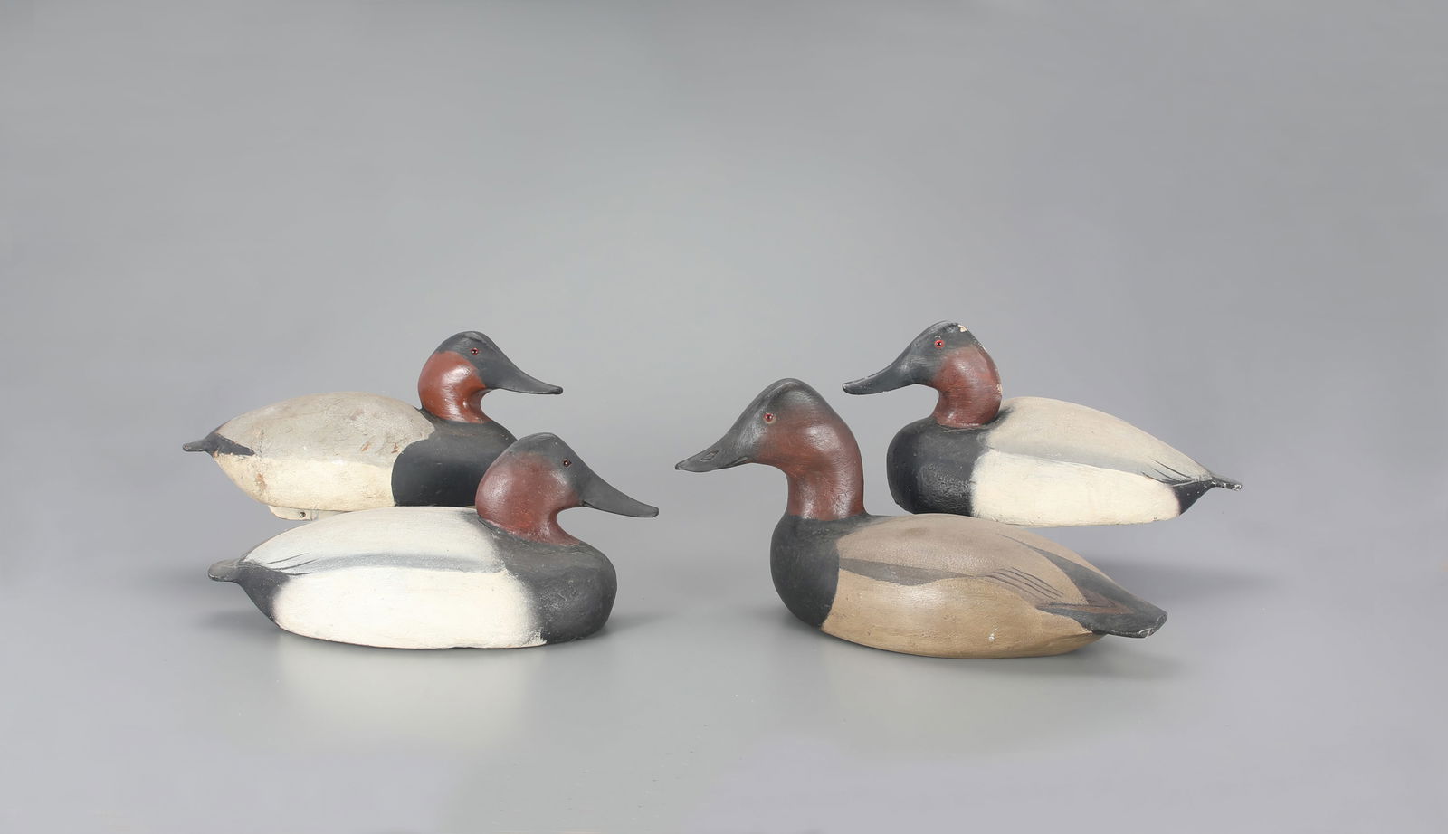 Four Canvasback Decoys by The Ward Brothers (1 of 4)