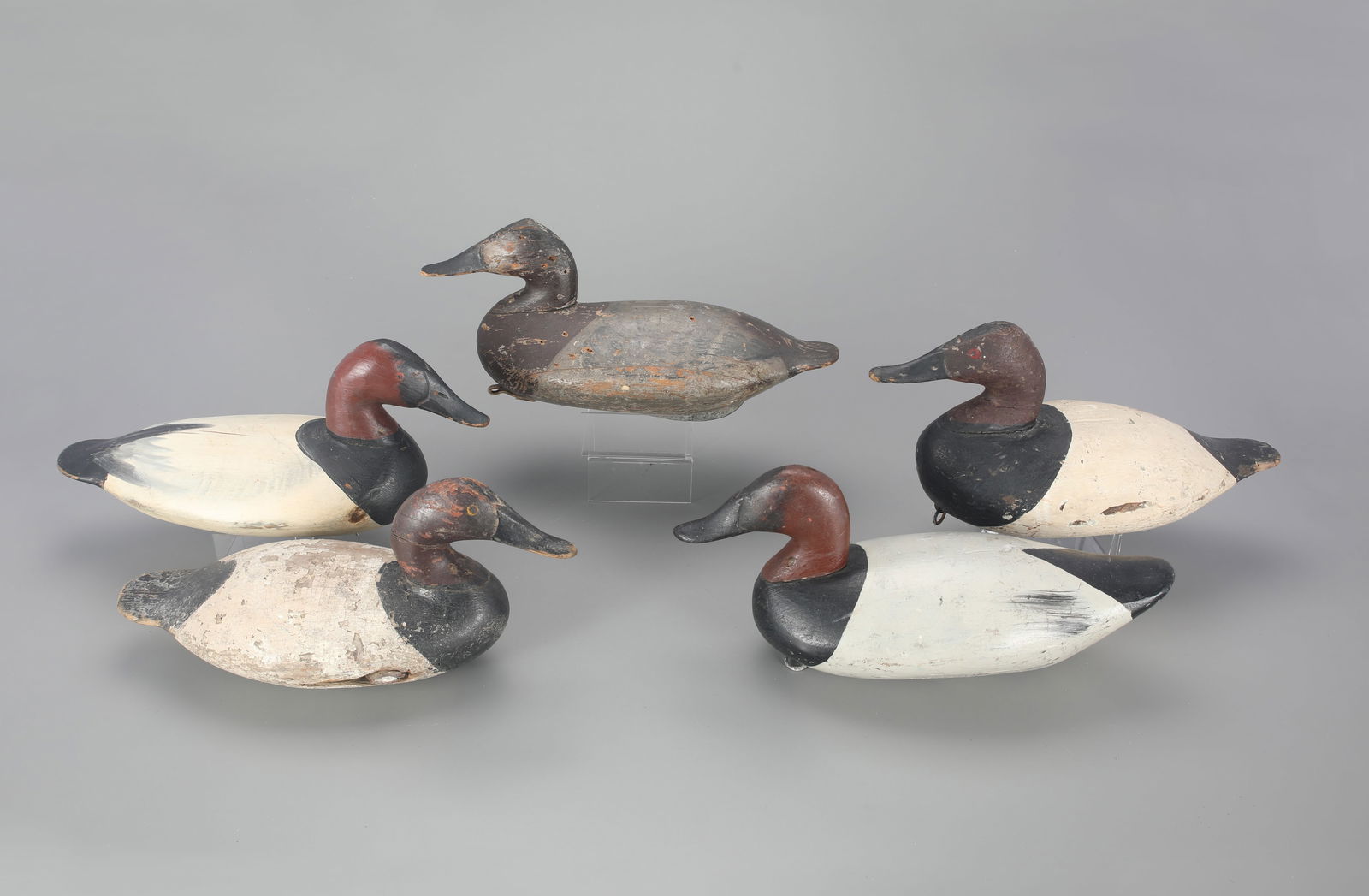 Five Canvasback Decoys (1 of 4)
