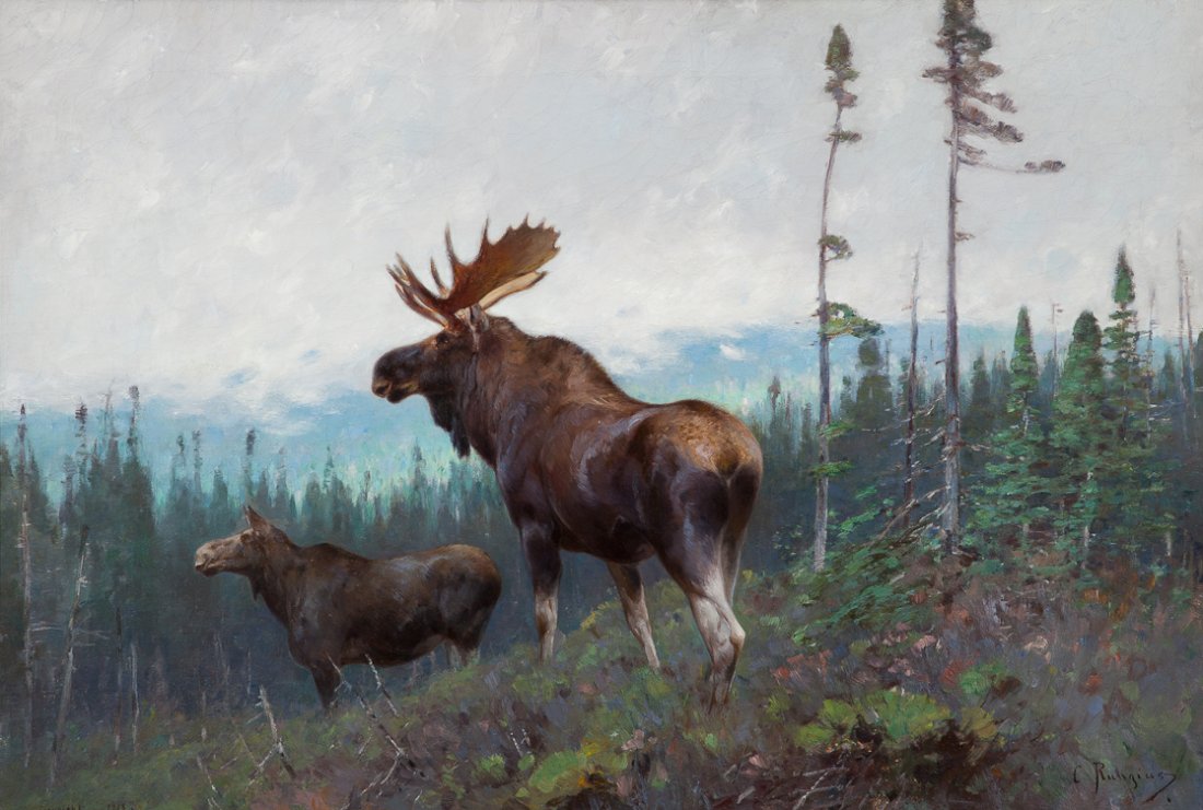 Carl Clemens Moritz Rungius (1869-1959): Carl Clemens Moritz Rungius (1869-1959) Moose on a Ridge Signed "C. Rungius" lower right Oil on canvas, 26 by 38 inches Exhibited at The Academy of the Arts, Easton, Maryland, In Search of Big Game: A