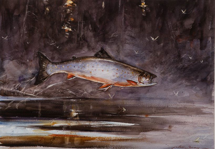 John Swan (b. 1948): John Swan (b. 1948) Brooktrout and Mayflies, 2001 Signed "John Swan" lower right Watercolor, 16 by 24 inches Inscribed "John Swan © '01" on back Provenance: Private Collection, Westport, Connect