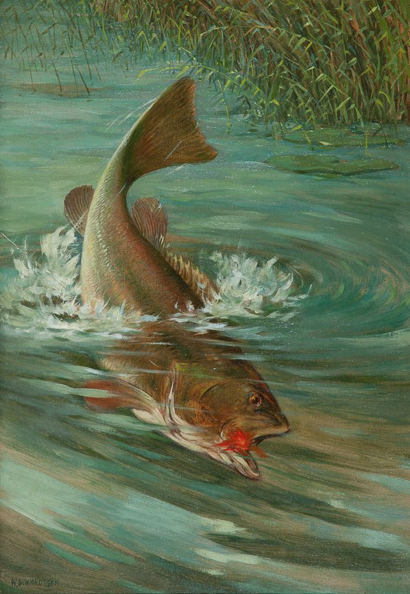 Hermann Schmedtgen (1862-1936): Hermann Schmedtgen (1862-1936) Bass on a Line Signed "W. Schmedtgen" lower left Oil on canvas, 20 by 14 inches